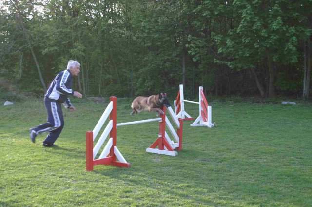 agility 2011-04
